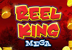 Reel King Mega