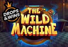 The wild machine