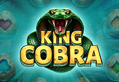 King-Cobra